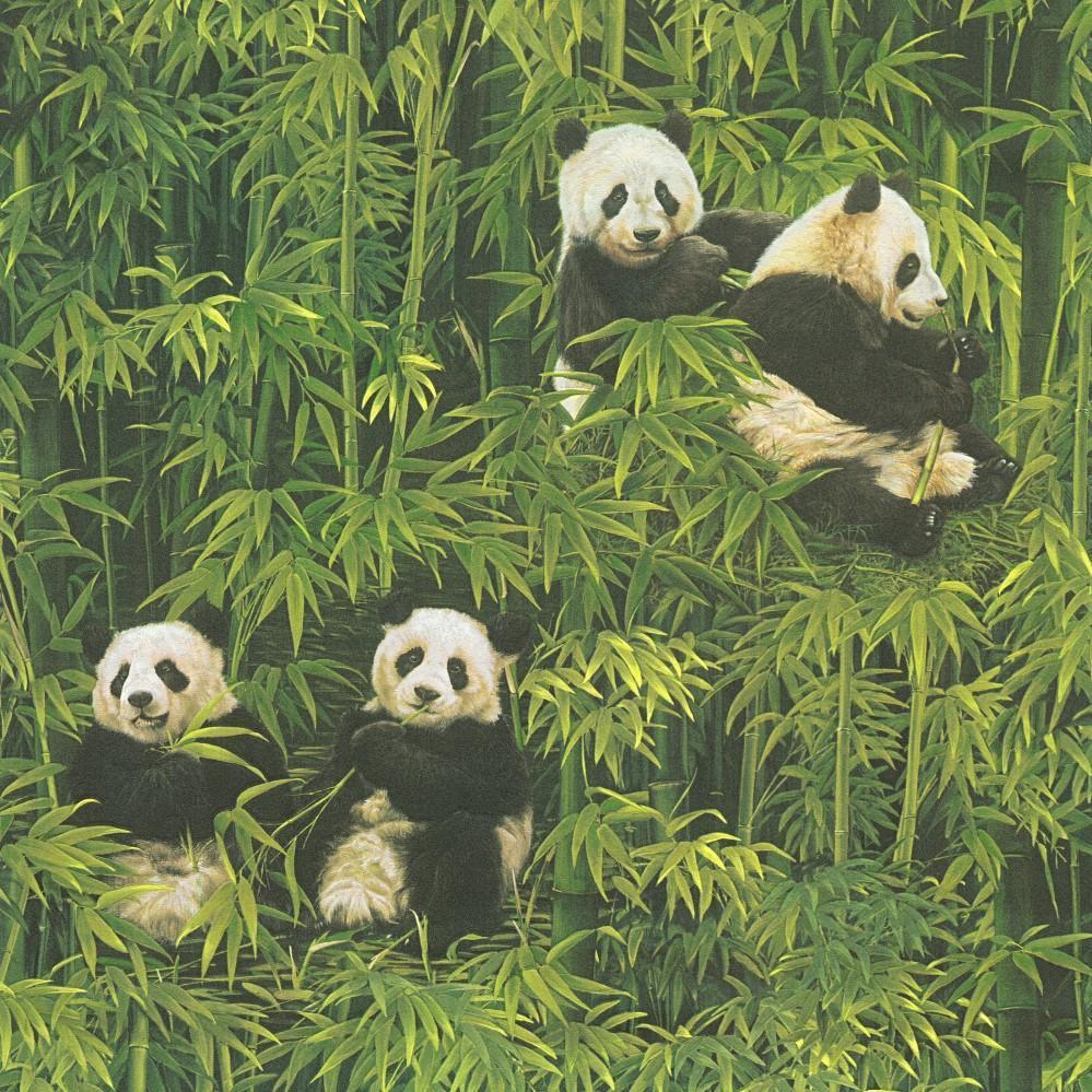 58 عدد تصویر زمینه پاندا Panda