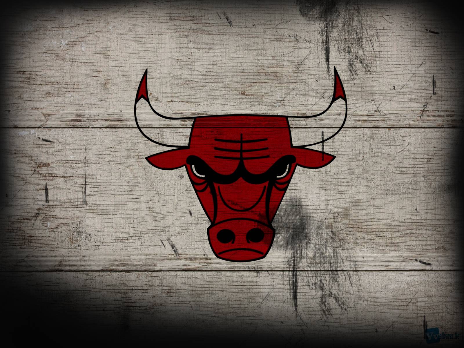 شیکاگو بولز (Chicago Bulls)