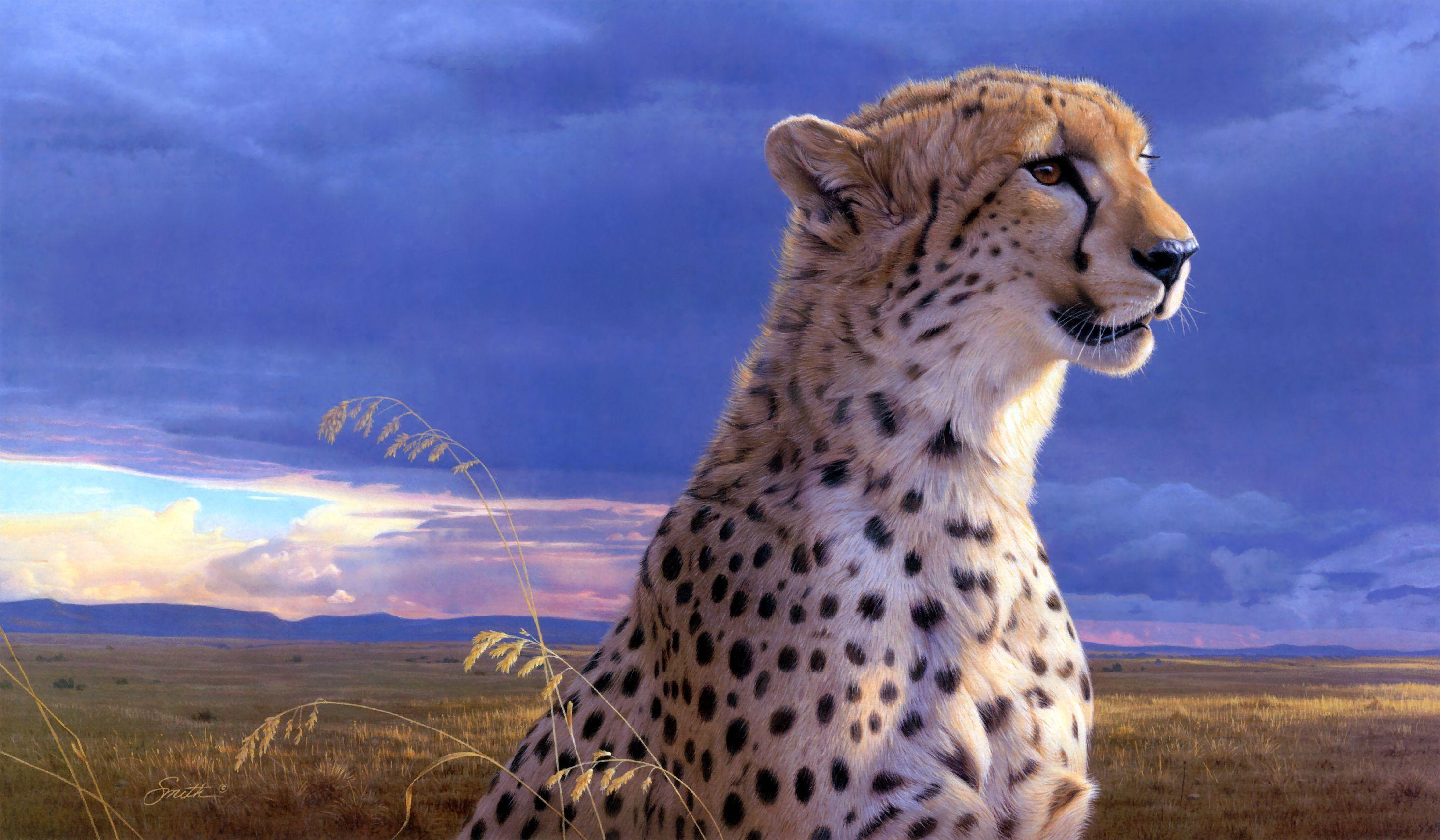 یوزپلنگ (Cheetah)