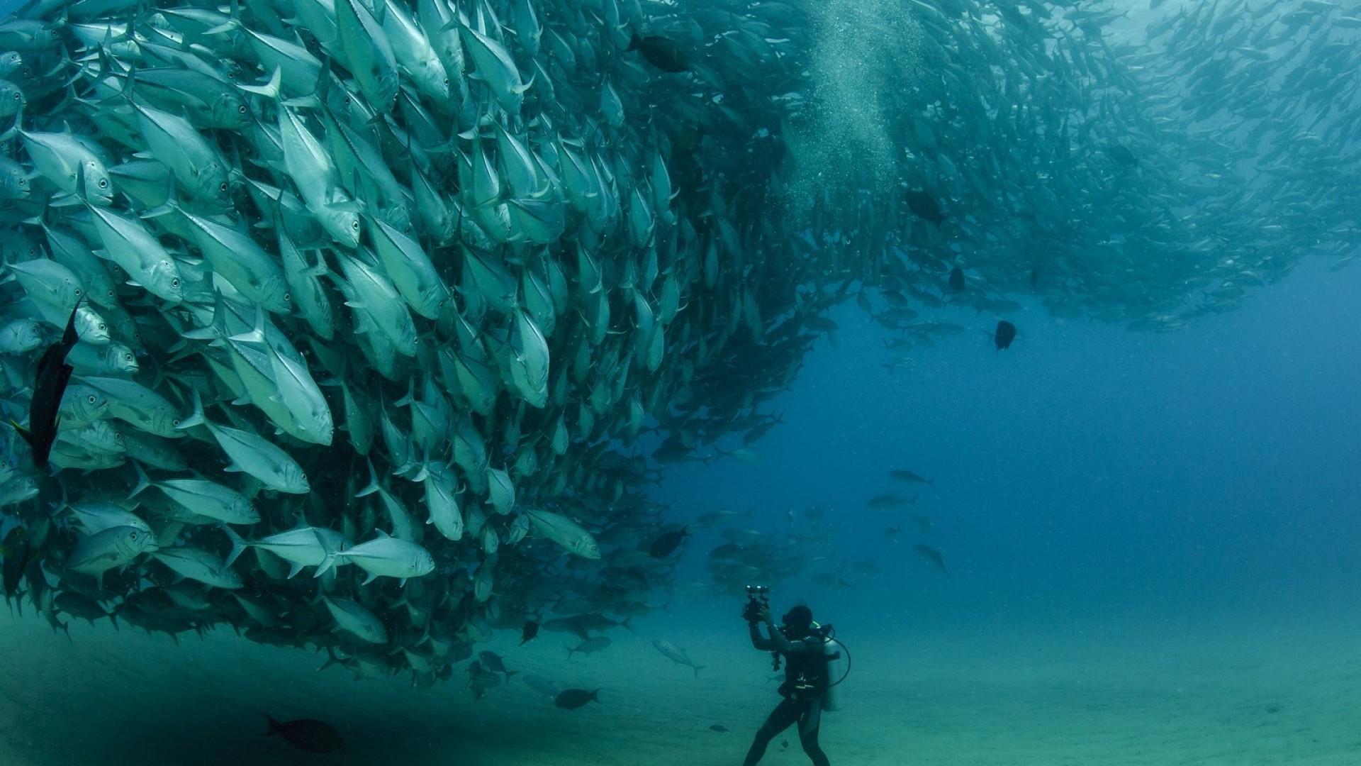 غواصی (Underwater diving)