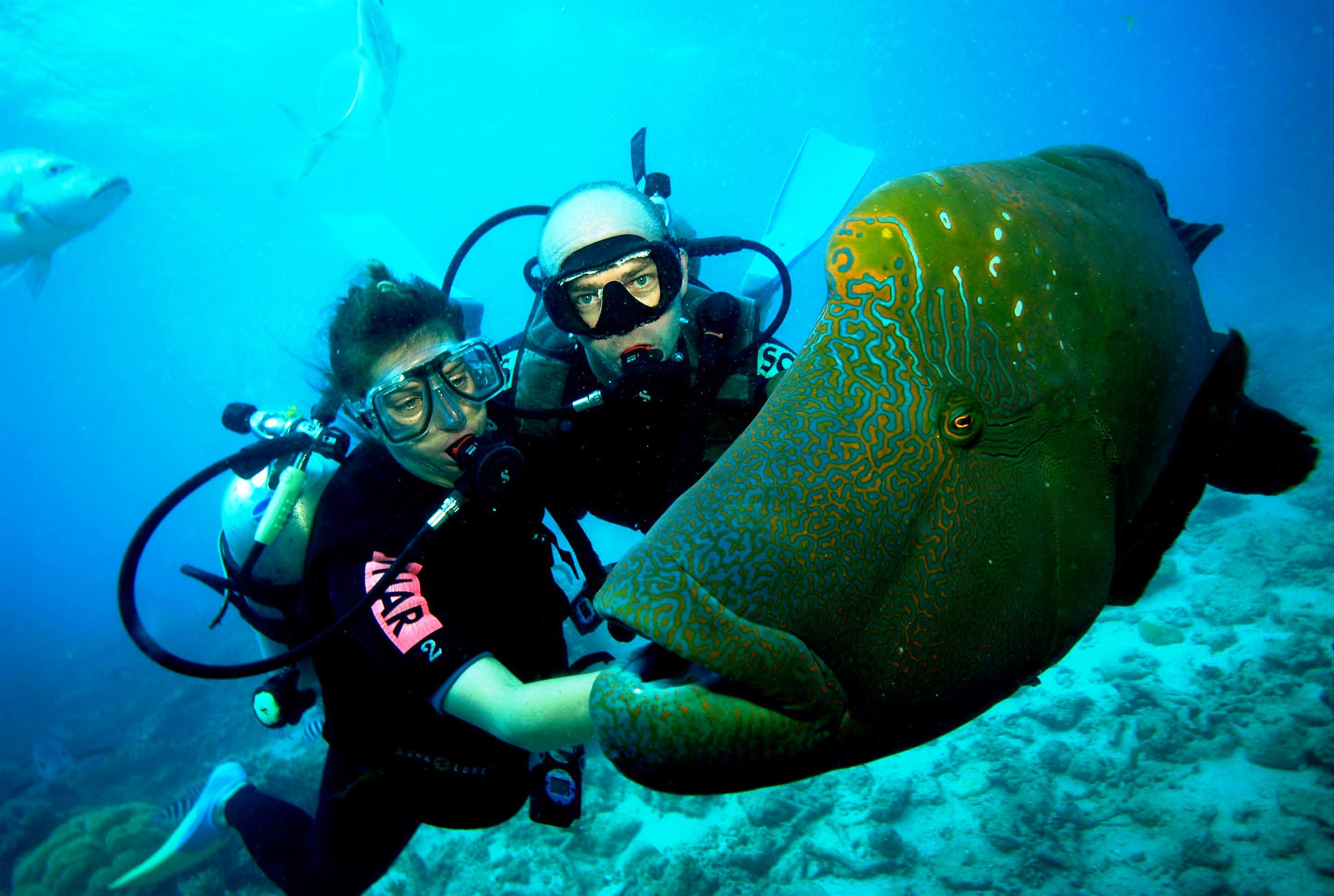 غواصی (Underwater diving)