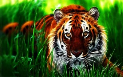 تصویر شماره 5 از آلبوم تصویر زمینه 8k tiger uhd