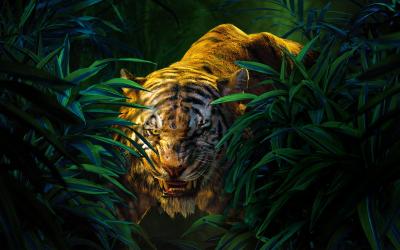 تصویر شماره 21 از آلبوم تصویر زمینه 8k tiger uhd