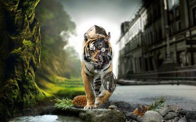 تصویر شماره 45 از آلبوم تصویر زمینه 8k tiger uhd