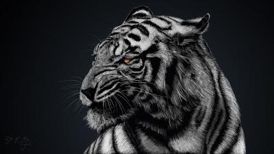 تصویر شماره 28 از آلبوم تصویر زمینه 8k tiger uhd
