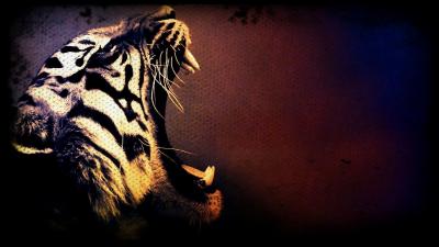 تصویر شماره 23 از آلبوم تصویر زمینه 8k tiger uhd