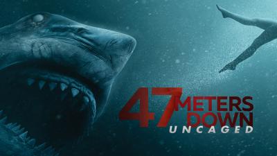 تصویر شماره 42 از آلبوم تصویر زمینه 47 meters down uncaged