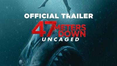 تصویر شماره 34 از آلبوم تصویر زمینه 47 meters down uncaged