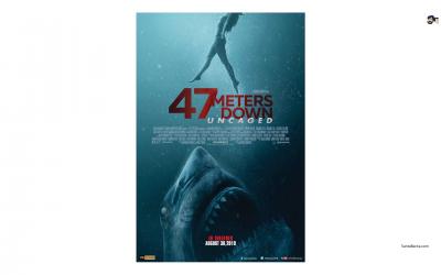 تصویر شماره 8 از آلبوم تصویر زمینه 47 meters down uncaged