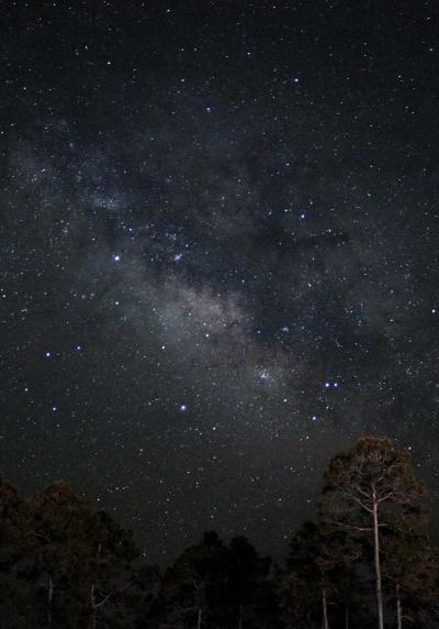 تصویر شماره 9 از آلبوم تصویر زمینه 1668x2388