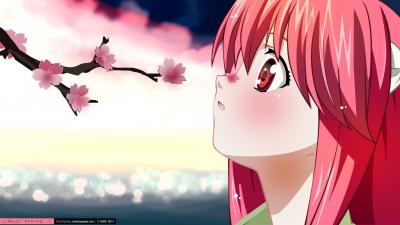 تصویر شماره 28 از آلبوم تصویر زمینه nana elfen lied