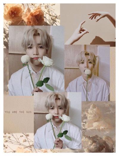 تصویر شماره 35 از آلبوم تصویر زمینه nct aesthetic