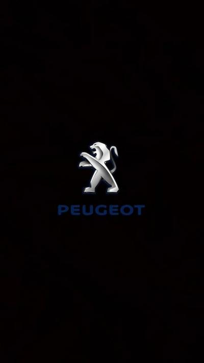 تصویر شماره 13 از آلبوم تصویر زمینه پژو (Peugeot)