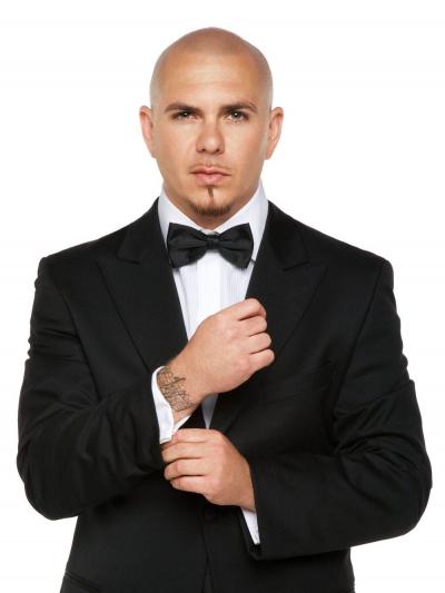 تصویر شماره 8 از آلبوم تصویر زمینه پیت بول (Pitbull)