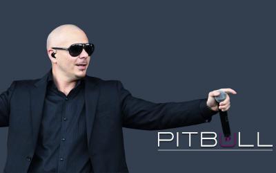 تصویر شماره 36 از آلبوم تصویر زمینه پیت بول (Pitbull)