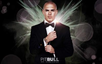 تصویر شماره 10 از آلبوم تصویر زمینه پیت بول (Pitbull)