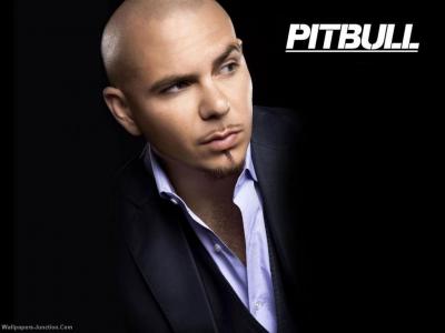 تصویر شماره 2 از آلبوم تصویر زمینه پیت بول (Pitbull)