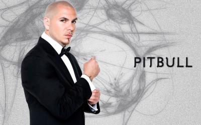 تصویر شماره 38 از آلبوم تصویر زمینه پیت بول (Pitbull)