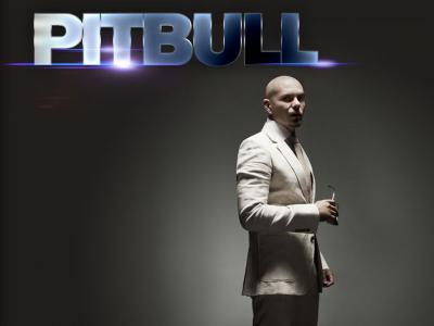 تصویر شماره 4 از آلبوم تصویر زمینه پیت بول (Pitbull)