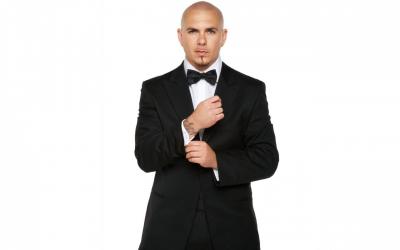 تصویر شماره 30 از آلبوم تصویر زمینه پیت بول (Pitbull)