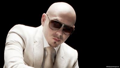 تصویر شماره 26 از آلبوم تصویر زمینه پیت بول (Pitbull)