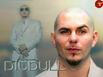 تصویر شماره 24 از آلبوم تصویر زمینه پیت بول (Pitbull)