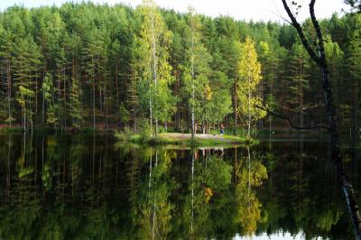 تصویر شماره 23 از آلبوم تصویر زمینه طبیعت روسیه (russia nature)