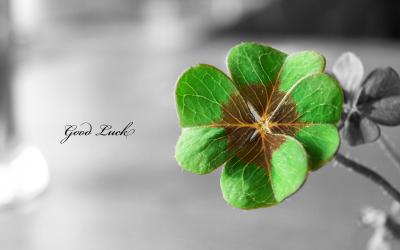 تصویر شماره 17 از آلبوم تصویر زمینه روز سنت پاتریک (saint patricks day)