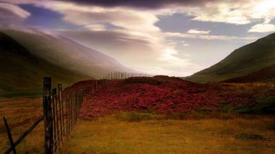 تصویر شماره 21 از آلبوم تصویر زمینه scotland desktop