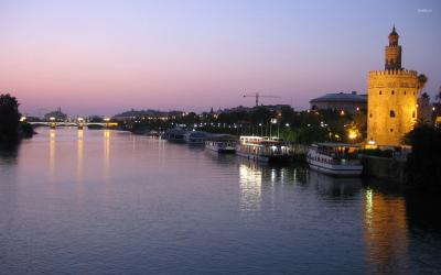 تصویر شماره 14 از آلبوم تصویر زمینه سویا (Seville)