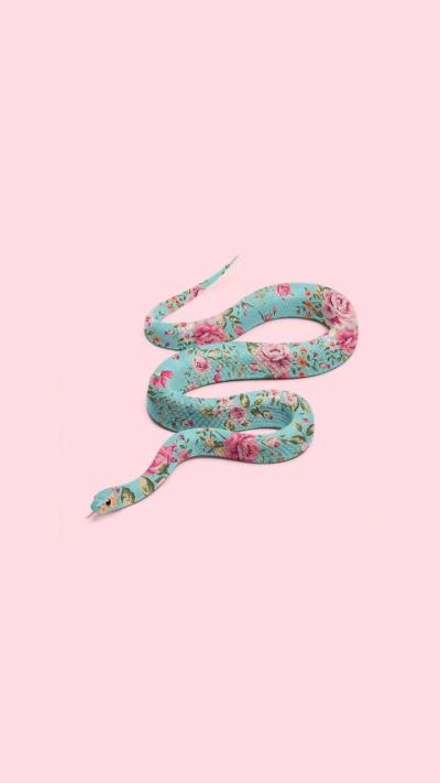 تصویر شماره 8 از آلبوم تصویر زمینه مارهای زیبا (Snake Aesthetics)