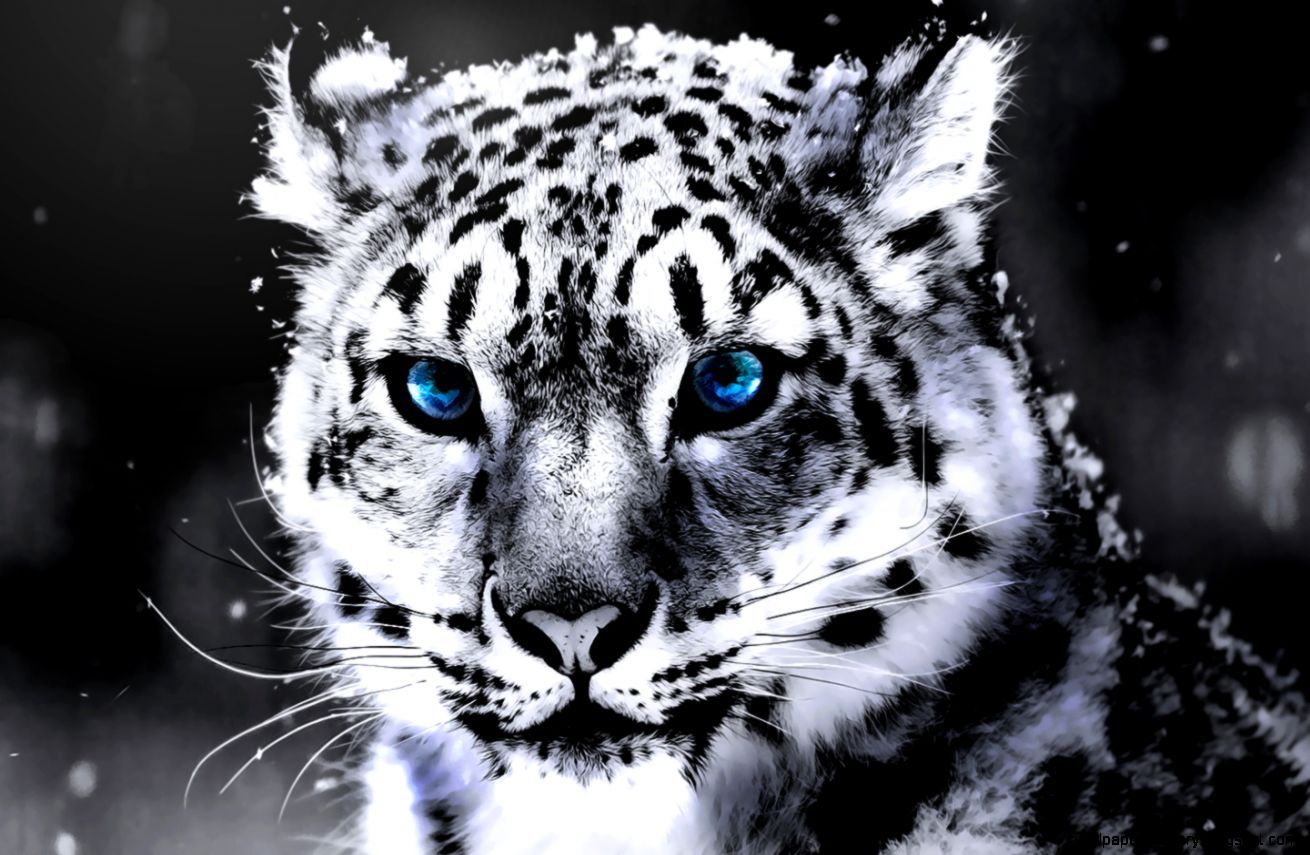 ببر سفید (Snow Tiger)
