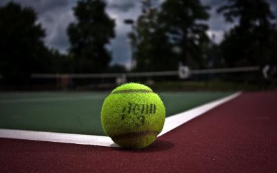 تصویر شماره 7 از آلبوم تصویر زمینه تنیس (Tennis)