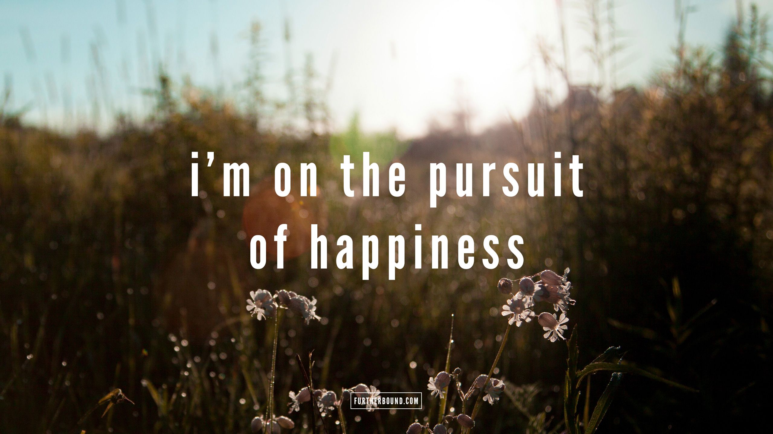 در جستجوی خوشبختی (the pursuit of happyness)