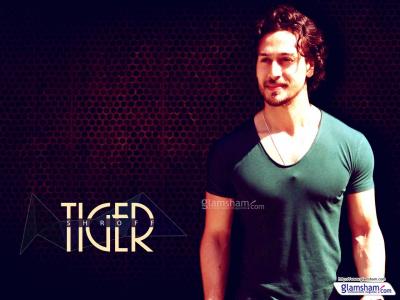 تصویر شماره 18 از آلبوم تصویر زمینه تایگر شروف (Tiger Shroff)