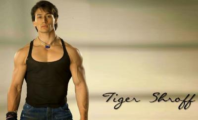 تصویر شماره 13 از آلبوم تصویر زمینه تایگر شروف (Tiger Shroff)