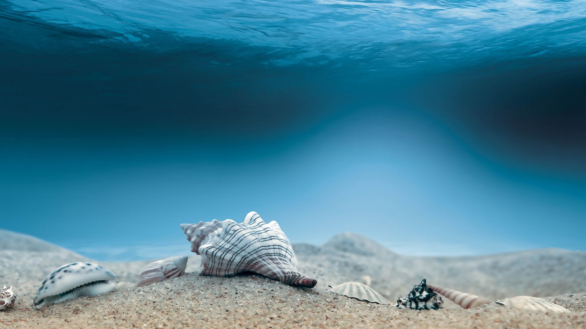 دنیای زیر آب (underwater)