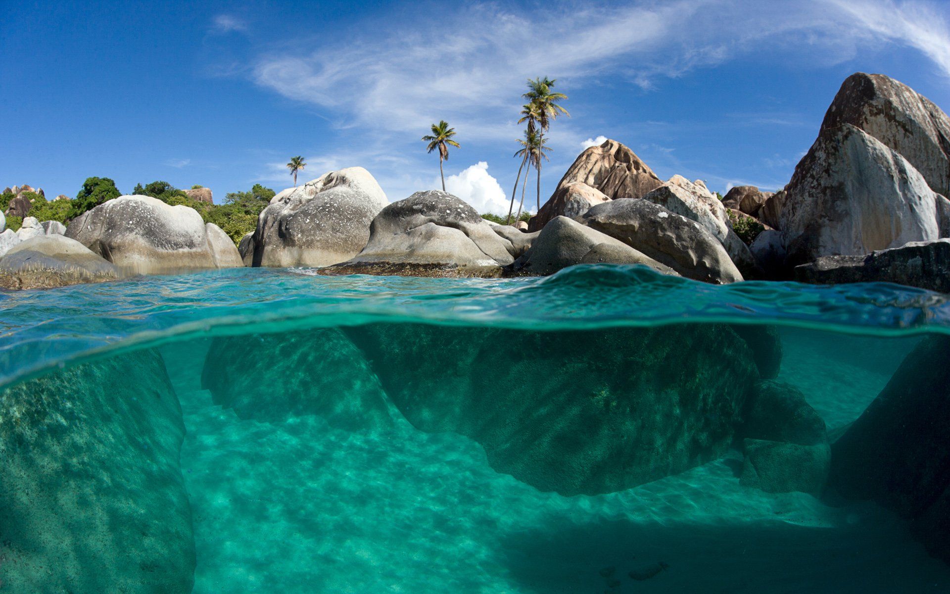 دنیای زیر آب (underwater)