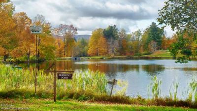 تصویر شماره 37 از آلبوم تصویر زمینه ورمونت (Vermont)