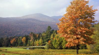 تصویر شماره 42 از آلبوم تصویر زمینه ورمونت (Vermont)