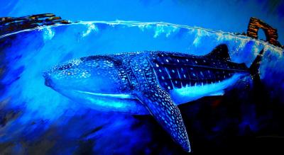 تصویر شماره 2 از آلبوم تصویر زمینه کوسه‌نهنگ (Whale shark)