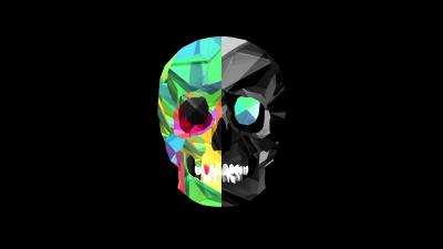 تصویر شماره 13 از آلبوم تصویر زمینه awesome-skull