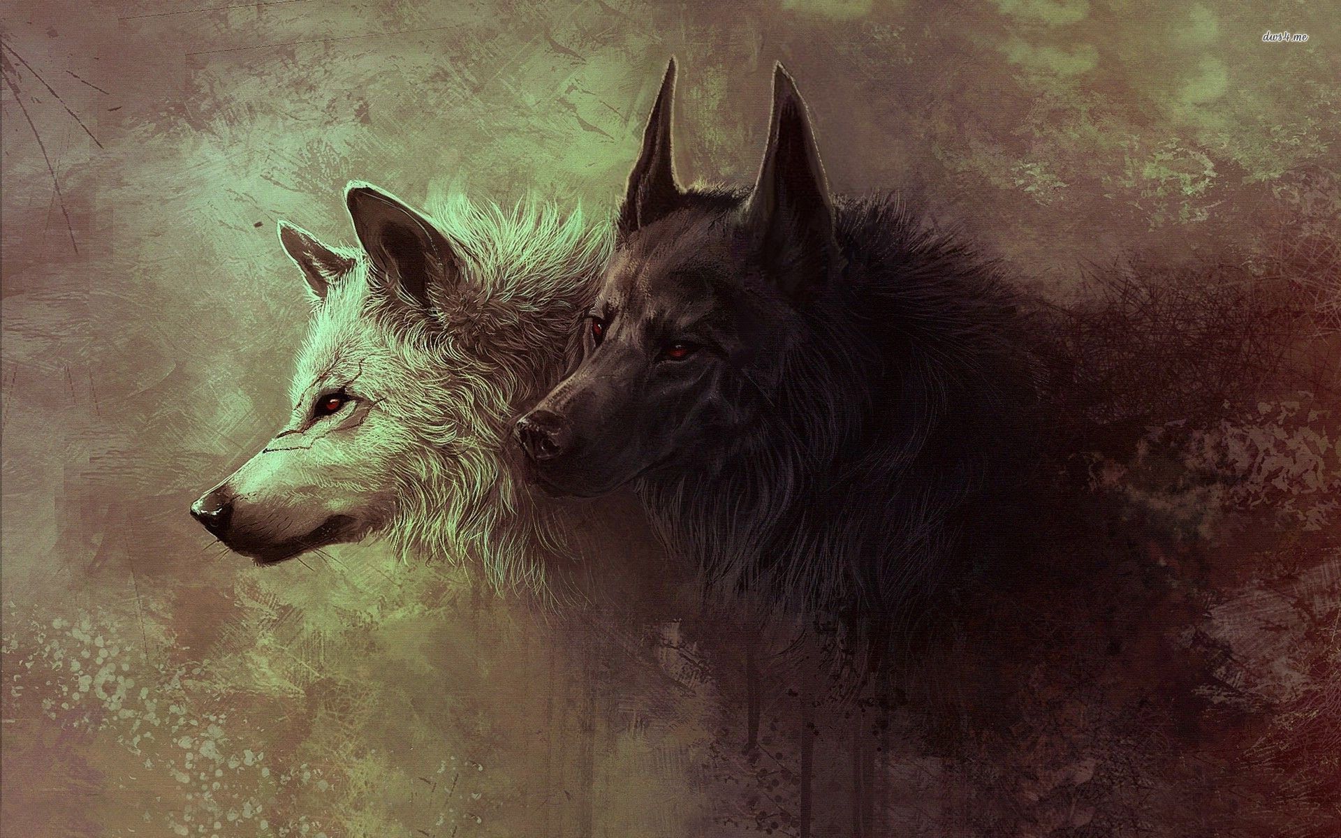 گرگ (Wolf)