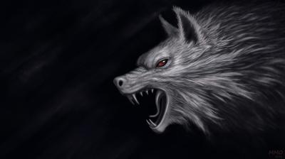 تصویر شماره 15 از آلبوم تصویر زمینه گرگ (Wolf)