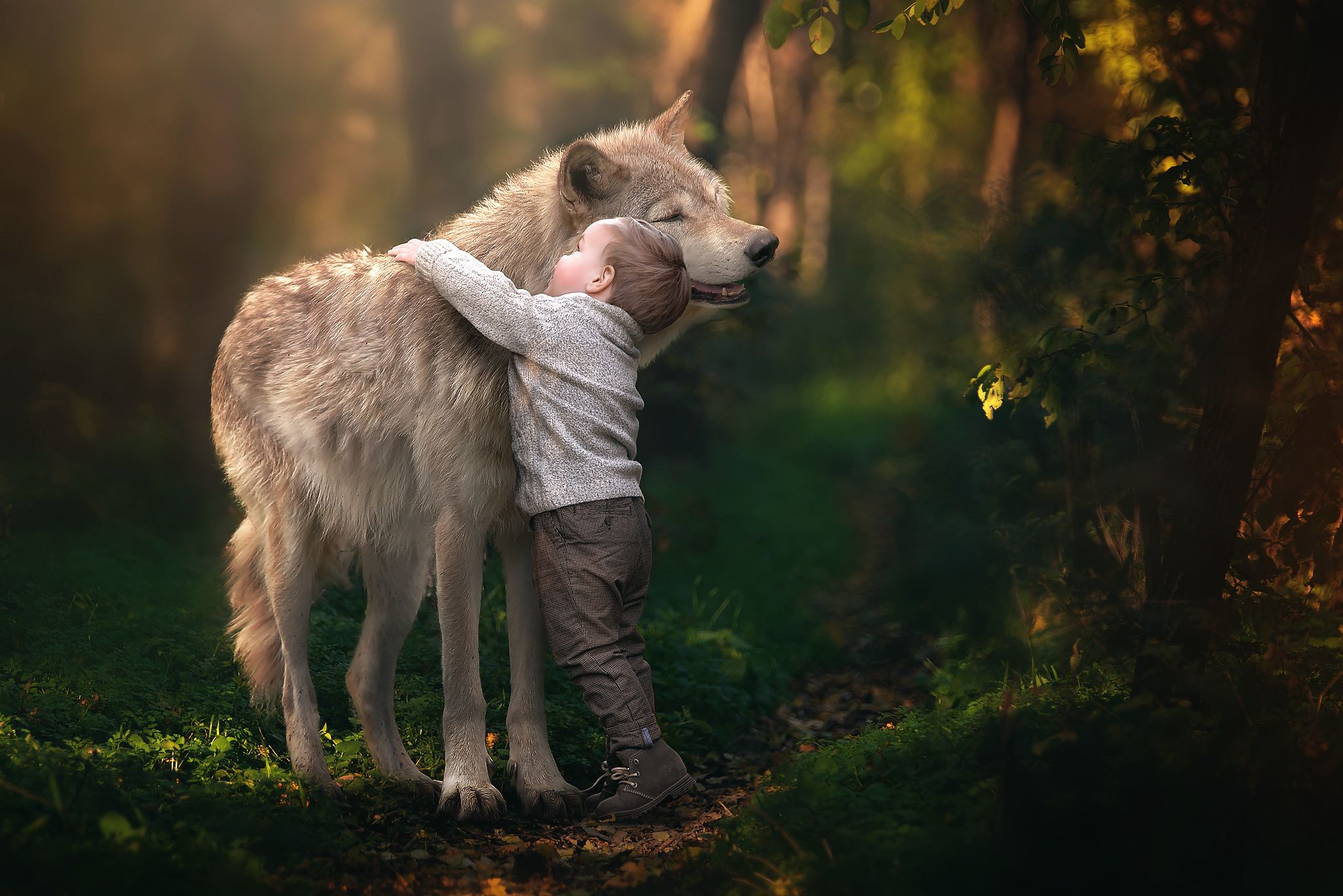 فرزندان گرگ (Wolf Children)