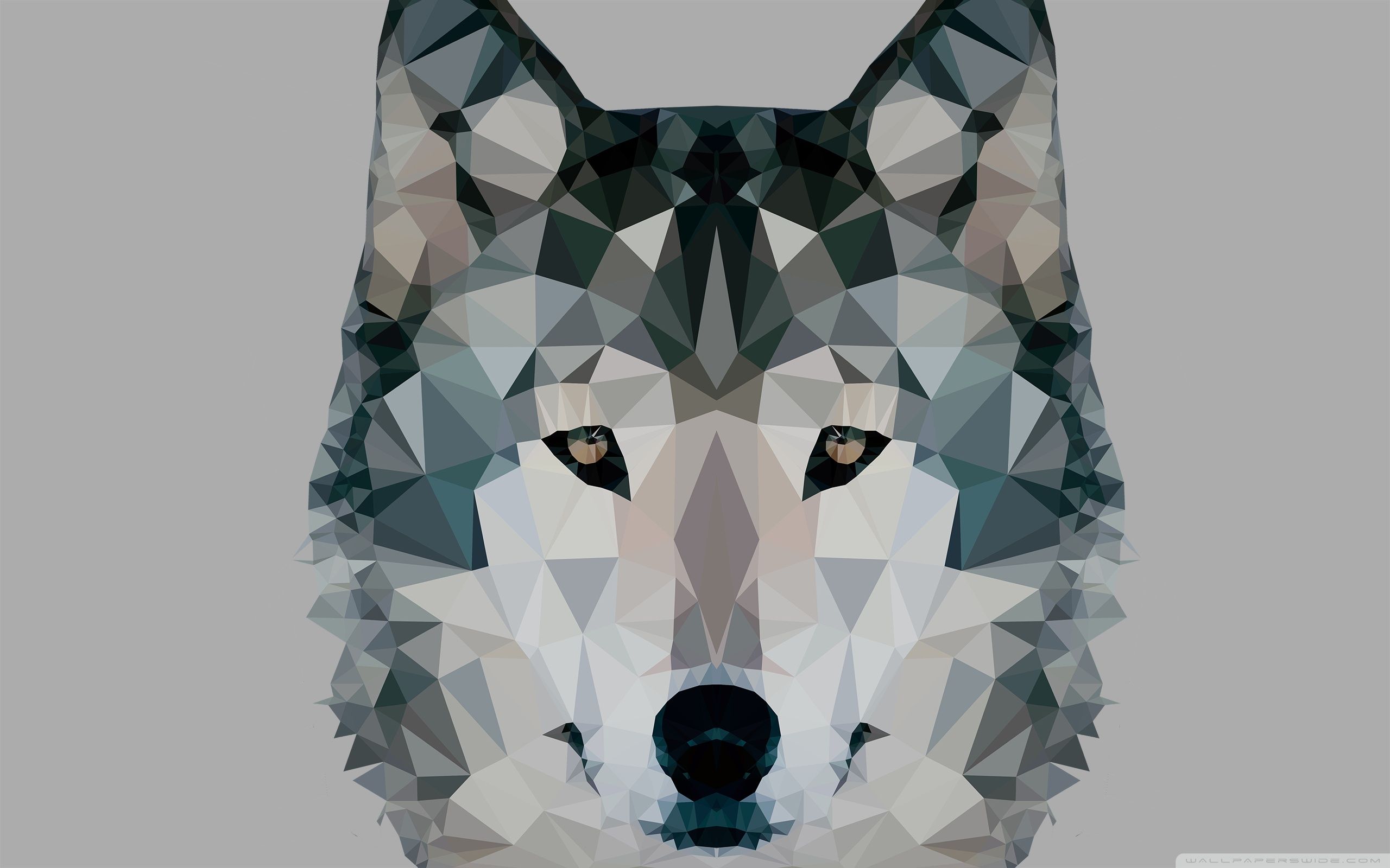 هندسی گرگ (Wolf Geometric)