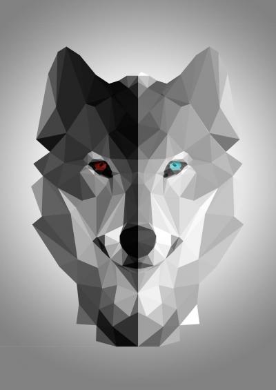 تصویر شماره 10 از آلبوم تصویر زمینه هندسی گرگ (Wolf Geometric)