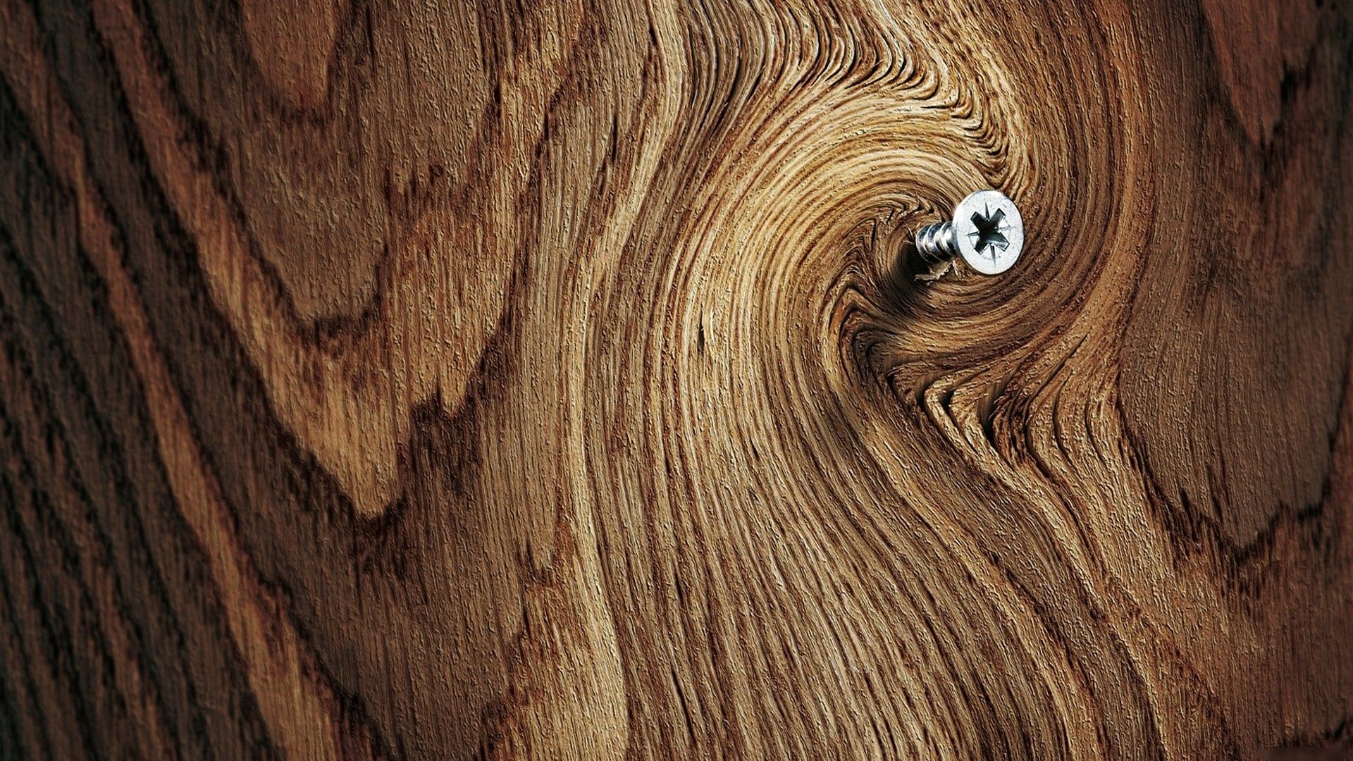  چوب (Wood)