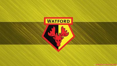 تصویر شماره 27 از آلبوم تصویر زمینه باشگاه فوتبال واتفورد (Watford F.C.)