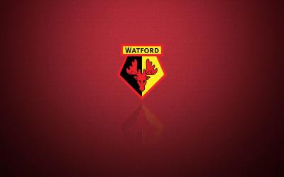 تصویر شماره 10 از آلبوم تصویر زمینه باشگاه فوتبال واتفورد (Watford F.C.)